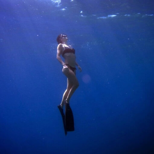 Apnoetauchen - Freediving Ratgeber