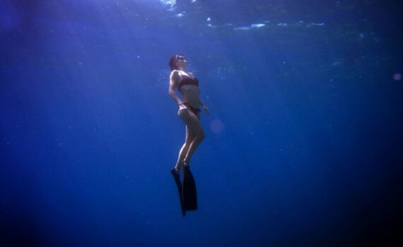 Apnoetauchen - Freediving Ratgeber