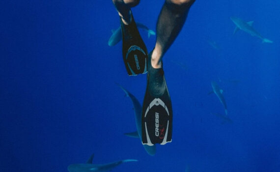 Kurze Schwimmflossen