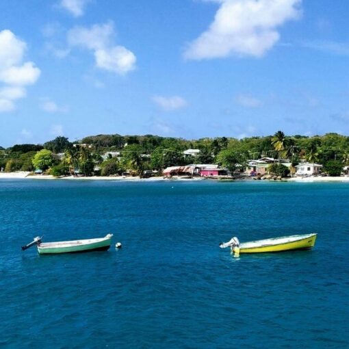 Schnorchelgebiete Barbados