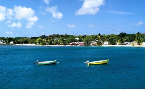 Schnorchelgebiete Barbados