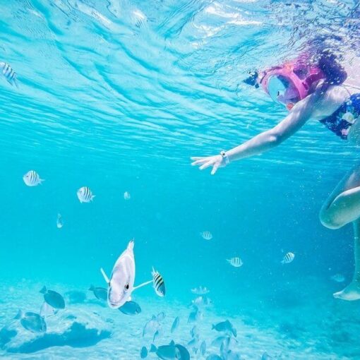 Schnorcheln Coral Island Phuket