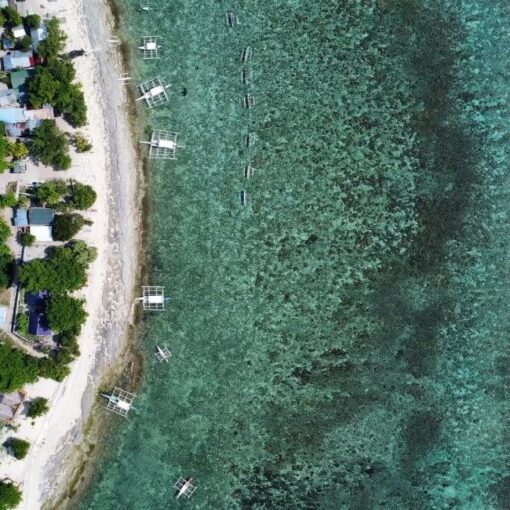 Schnorcheln Panglao Bohol Ratgeber