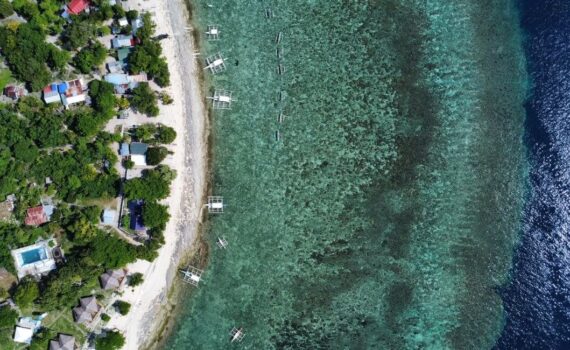 Schnorcheln Panglao Bohol Ratgeber