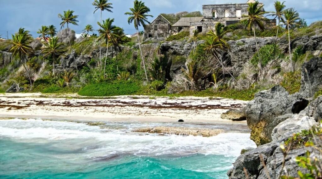 Schnorchelspot Barbados