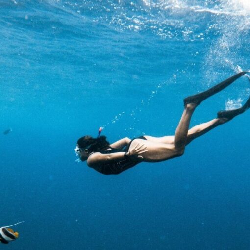 Schwimmflossen kaufen Ratgeber