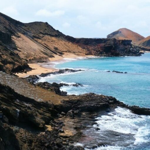 Tauchen auf den Galapagosinseln Was du wissen musst