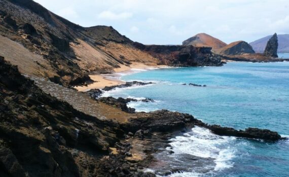 Tauchen auf den Galapagosinseln Was du wissen musst