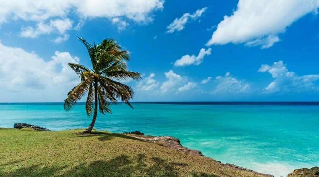 Tauchen und Schnorcheln Barbados