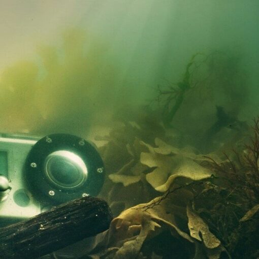 Taucherbrillen mit Kamera und Kamerahalterung - Ratgeber