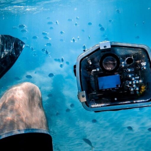 Unterwasserkameras zum Schnorcheln und Tauchen Test